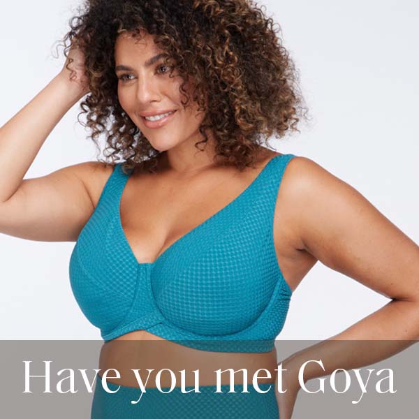 Have You Met Goya