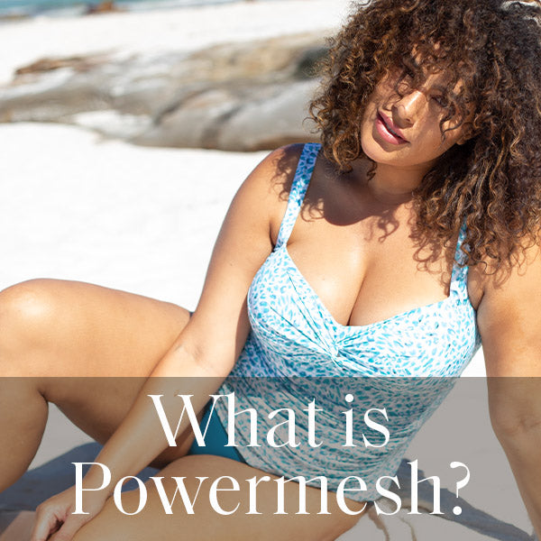 What Is Powermesh?