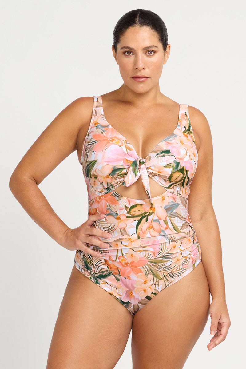 Ti'tania Cezanne D / DD Cup Underwire One Piece Swimsuit